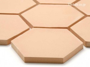 本物テラコッタ登場！！【先取り情報】