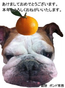 ２０１２年！あけましておめでとうございます。