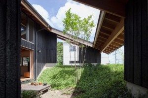 暑さの世界記録は56.7℃ ！！