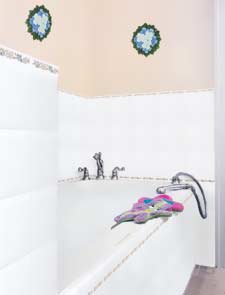 �Х��롼����򿧥����� ! ��������ȥ����뤬��Ũ ��