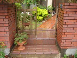 �ƥ饳�å��������ߤ����������