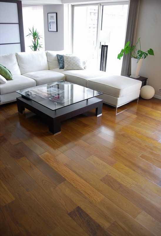 ��ѡ�����