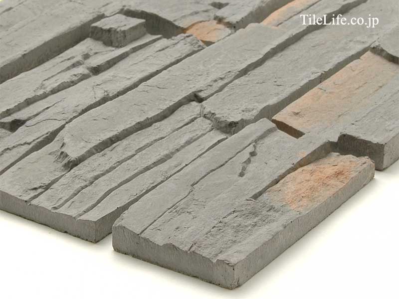 �����ȷϿ�¤��