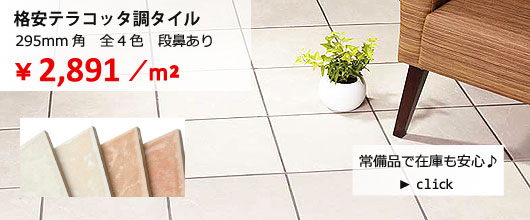 �ʰ¥ƥ饳�å�Ĵ������
