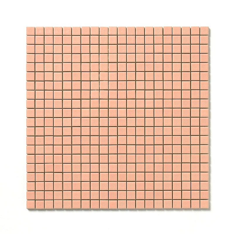 50469