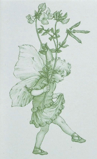 有名な花の妖精シリーズがタイルで登場♪ | タイルライフ アウトレット