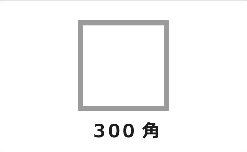  ᤭ 300