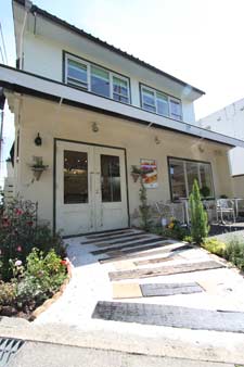 ��󥬥������ʷ�ϵ�����Ź�ޥ��ץ�����������