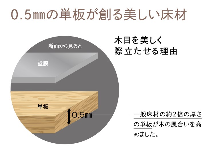 ウッドワン コンビットグラードプラス152 (ウォールナット
