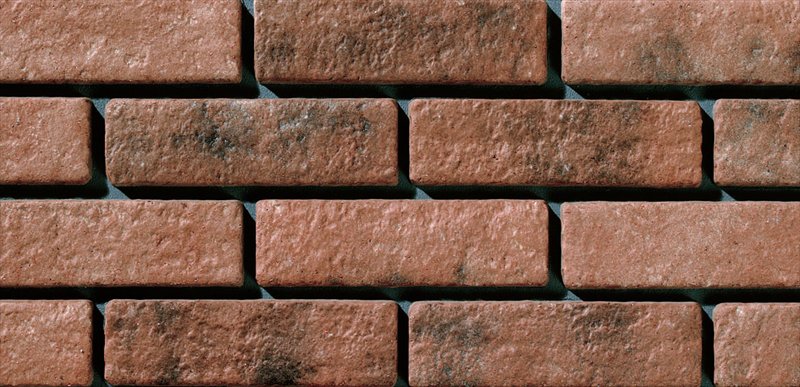 トイガン 214 Argyle Zip Knit Cardigan – thisisneverthat® JP