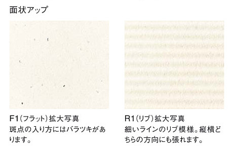 リクシル(INAX) 内装タイル エコカラット ファインベース 303角