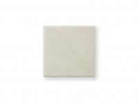  100 (XTH-T77) (10196XTH)