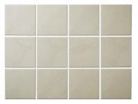  100 (XTH-T77) (10196XTH)