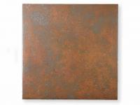  307 (XTH-T106) (10234XTH)