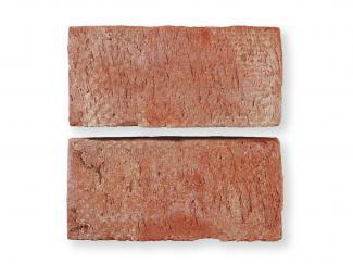 ��󥬡������ǥ˥�:�٥륮����� AI-PL  [�Ѥߥ��](10442GYM)