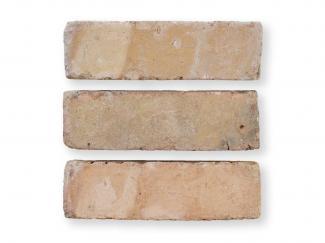 ��󥬡������ǥ˥�:�٥륮����� AI-OW  [�Ѥߥ��](10445GYM)