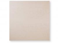 ʥ&졼Ĵ 450 (XTH-T198) (10563XTH)