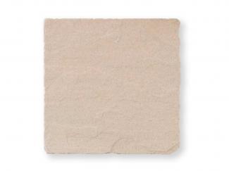 c1��������ʬ�����ʡ� 150�� (XTH-T222) 10665XTH:c1��������ʬ�����ʡ� 150�� (XTH-T222)(10665XTH)