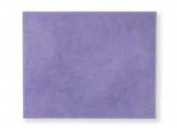 ɥ 250200 (XTH-T244) (10687XTH)