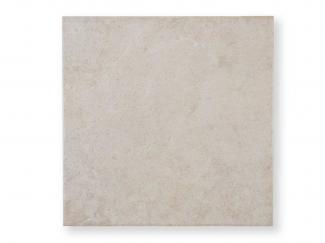 �ʥ�����&���졼��Ĵ 300�� (XTH-T248) 10691XTH:�ʥ�����&���졼��Ĵ 300�� (XTH-T248)(10691XTH)