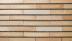 ����������:������ 235��38�� (CYT-T3)(10755CYT)