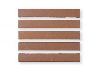 ���ɥ�����:��¥����롦��󥳥���(500��) 227��30�� (SSY-T21)(10828SSY)