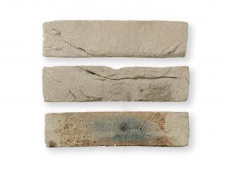 ���ɥ�����:���ɥ����� 210��50�� (SSY-T22)(10829SSY)