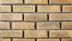 ���ɥ����� 215��65�� (SSY-T25) 10833SSY:���ɥ����� 215��65�� (SSY-T25)(10833SSY)