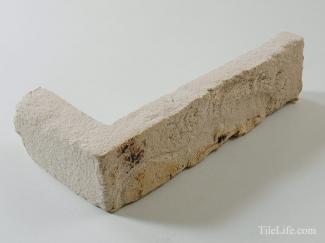 ���ʥ�����&�����ʡ������� 210��50�� (SSY-T46) 10854SSY:���ʥ�����&�����ʡ������� 210��50�� (SSY-T46)(10854SSY)