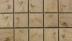 ʥ:ȼˡ꥿ 143 (JNK-T3)(11052JNK)