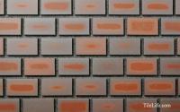  10860 (SSY-T79) (11143SSY)