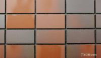  210100 (SSY-T85) (11149SSY)