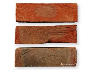 ��󥬡������ǥ˥�:�����ꥹ��� BradGate Reagal [�Ѥߥ��](11153SGY)