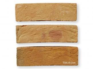 ��󥬡������ǥ˥�:�����ꥹ��� Golden Purple [�Ѥߥ��](11155SGY)