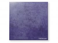  328 (XTH-T317) (11166XTH)