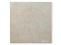 c1ʬʡ 308 (XX2-T28) (11172XX2)