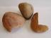 ��ʪ������:���ʥ�����&�����ʡ������� ��󥳥���(11291SSY)