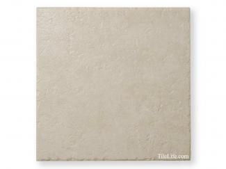 ̤᥿:ʥ&졼Ĵ 300 (SPI-T8)(11360SPI)