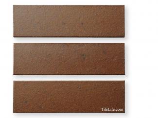 ���ɥ�����:��¥����롦��󥳥���(500��) 210��60�� (SSY-T96)(11430SSY)