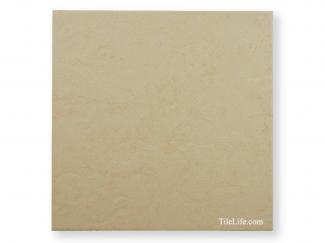 �ʥ�����&���졼��Ĵ 300�� (KSS-T17) 11460KSS:�ʥ�����&���졼��Ĵ 300�� (KSS-T17)(11460KSS)