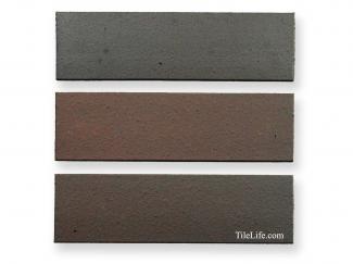 ��¥�����:��¥����롦��󥳥���(500��) 210��60�� (SSY-T98)(11509SSY)