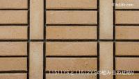 ¥롦󥳥(500) 22760 (SSY-T100) (11511SSY)