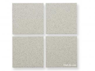 ����̤������᥿����:�����Ĵ������ 100�� (OMR-T17)(11543OMR)