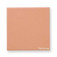 ץ졼󥿥 (̵) 150 (IWS-T23) (11704IWS)