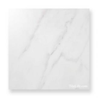 ����������:���ɥ����� 300�� (TMR-T5)(11749TMR)