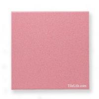 󥳥 ɥ 200 (XTH-T388) (11835XTH)
