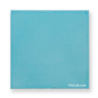 ���ɥ����� 200�� (XTH-T409) 11856XTH:���ɥ����� 200�� (XTH-T409)(11856XTH)