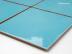 ���ɥ����� 200�� (XTH-T409) 11856XTH:���ɥ����� 200�� (XTH-T409)(11856XTH)