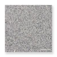 G603 300᤭  (᡼: XRO) (11939XRO)