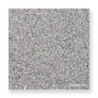 G603 300�����᤭ ����� (�᡼����: XRO)